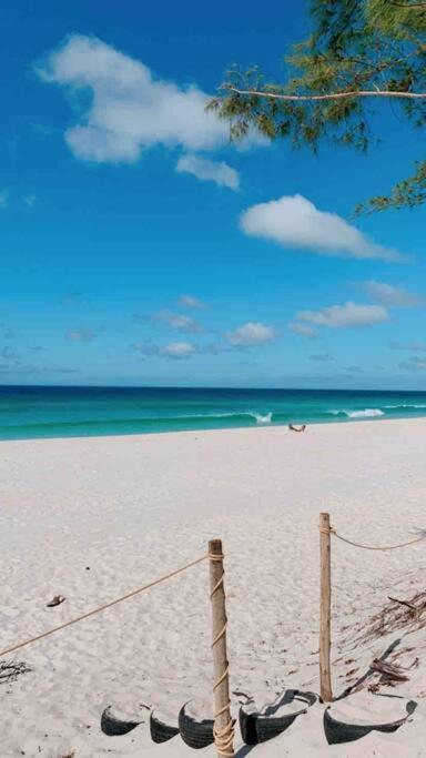 Chale Aloha Ihul ! O Paraiso Pe Na Areia !